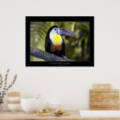 Toucan met kanaalvulling poster (Keuken)