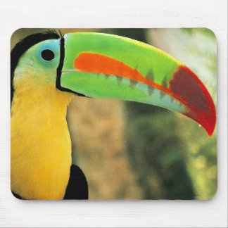 Toucan Mousepad Muismat