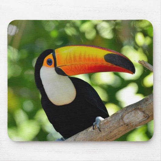 Toucan Muismat (Voorkant)