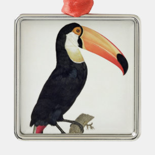 Toucan No.2 uit 'Geschiedenis van de vogels van he Metalen Ornament