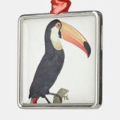 Toucan No.2 uit 'Geschiedenis van de vogels van he Metalen Ornament (Links)