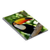 Toucan Notitieboek (Rechterzijde)
