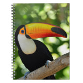 Toucan Notitieboek (Voorkant)