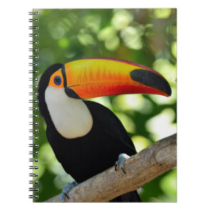 Toucan Notitieboek