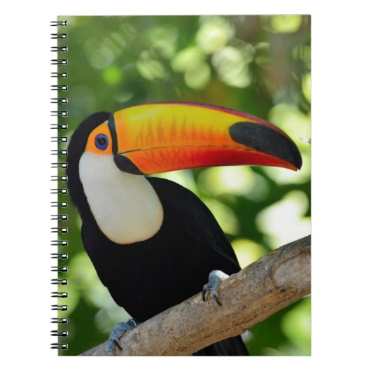 Toucan Notitieboek (Voorkant)