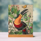 Toucan Oerwoud Tropical Bird Mooi Antiek Acryl Bord (Neutraal)