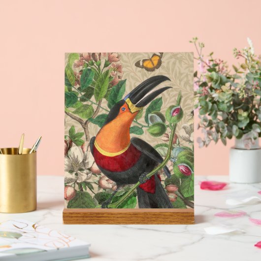 Toucan Oerwoud Tropical Bird Mooi Antiek Acryl Bord (Huwelijk)