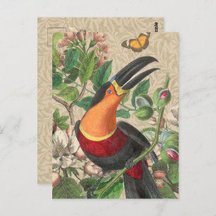 Toucan Oerwoud Tropical Bird Mooi Antiek Briefkaart