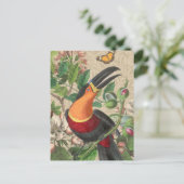 Toucan Oerwoud Tropical Bird Mooi Antiek Briefkaart (Staand voorkant)