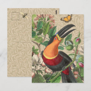 Toucan Oerwoud Tropical Bird Mooi Antiek Briefkaart