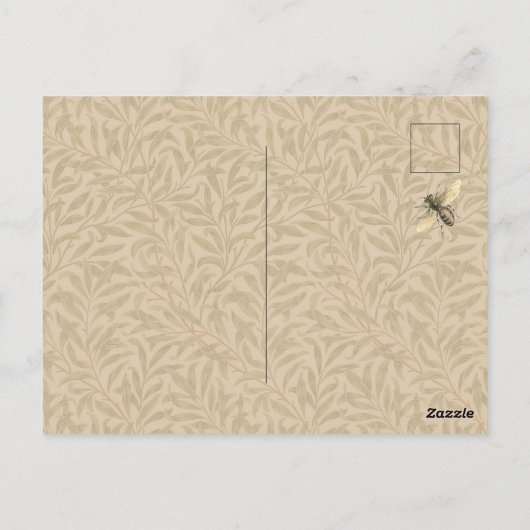 Toucan Oerwoud Tropical Bird Mooi Antiek Briefkaart (Achterkant)