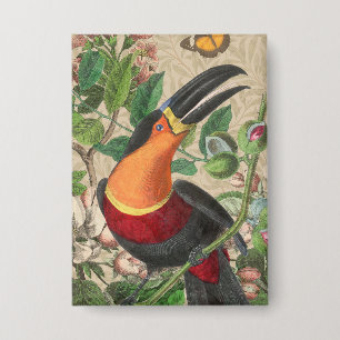 Toucan Oerwoud Tropical Bird Mooi Antiek Button