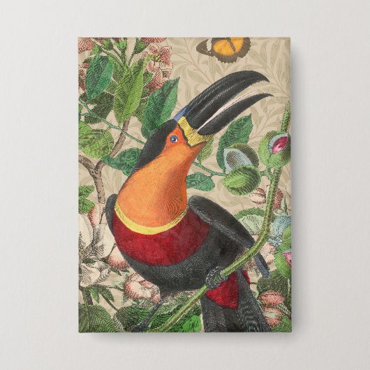 Toucan Oerwoud Tropical Bird Mooi Antiek Button (Voorkant)