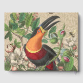 Toucan Oerwoud Tropical Bird Mooi Antiek Gastenboek (Achterkant)