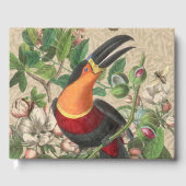 Toucan Oerwoud Tropical Bird Mooi Antiek Gastenboek (Voorkant)