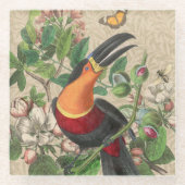 Toucan Oerwoud Tropical Bird Mooi Antiek Glazen Onderzetter (Voorkant)