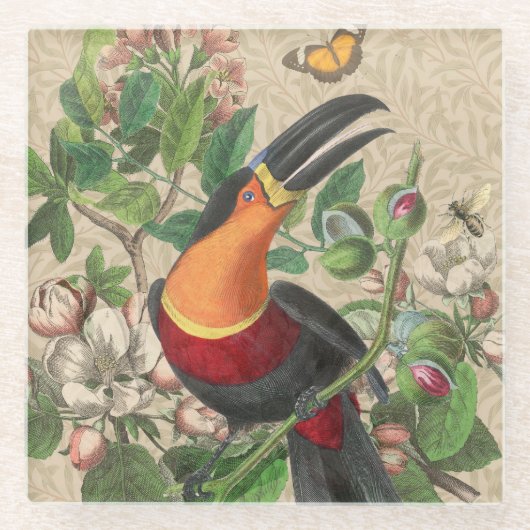 Toucan Oerwoud Tropical Bird Mooi Antiek Glazen Onderzetter (Voorkant)