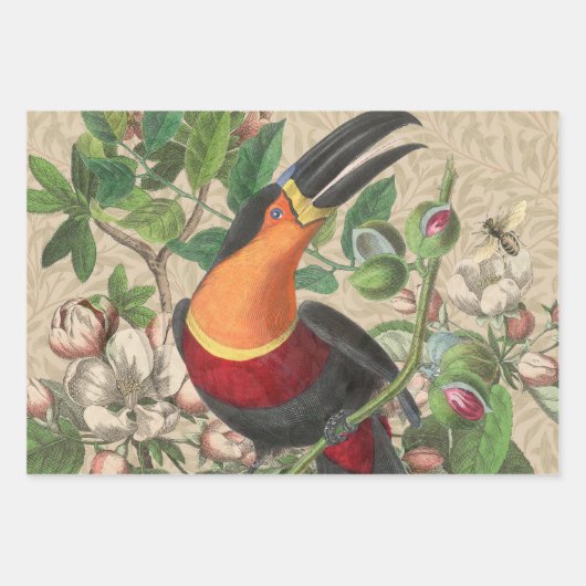 Toucan Oerwoud Tropical Bird Mooi Antiek Inpakpapier Vel (Voorkant)