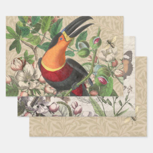 Toucan Oerwoud Tropical Bird Mooi Antiek Inpakpapier Vel