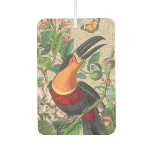 Toucan Oerwoud Tropical Bird Mooi Antiek Luchtverfrisser (Voorkant)
