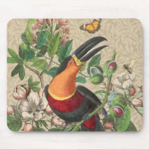 Toucan Oerwoud Tropical Bird Mooi Antiek Muismat