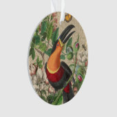 Toucan Oerwoud Tropical Bird Mooi Antiek Ornament (voorkant)