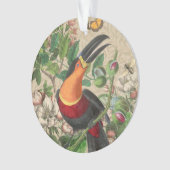 Toucan Oerwoud Tropical Bird Mooi Antiek Ornament (voorkant)