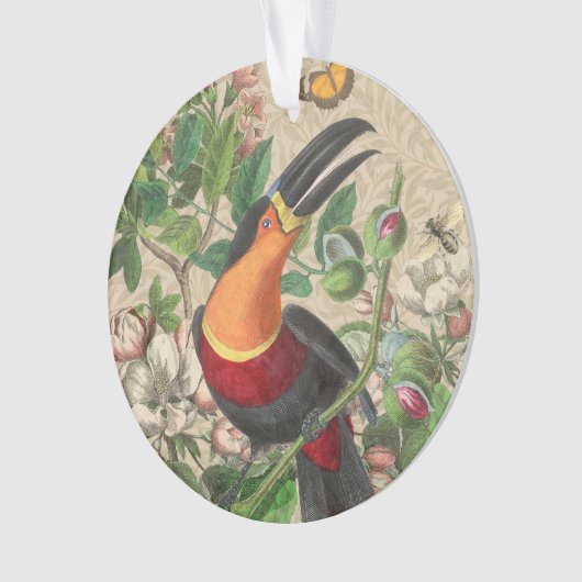 Toucan Oerwoud Tropical Bird Mooi Antiek Ornament (voorkant)