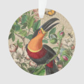 Toucan Oerwoud Tropical Bird Mooi Antiek Ornament (voorkant)