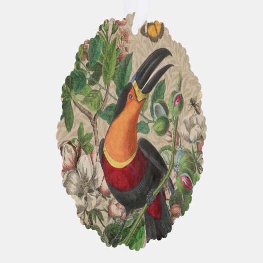 Toucan Oerwoud Tropical Bird Mooi Antiek Ornament Kaart (Rechts)