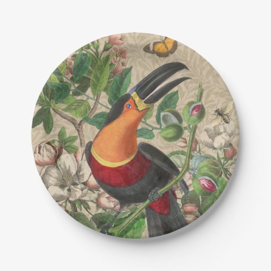 Toucan Oerwoud Tropical Bird Mooi Antiek Papieren Bordje (Voorkant)