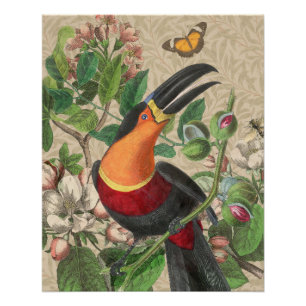 Toucan Oerwoud Tropical Bird Mooi Antiek Perfect Poster