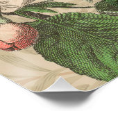 Toucan Oerwoud Tropical Bird Mooi Antiek Perfect Poster (Hoek)