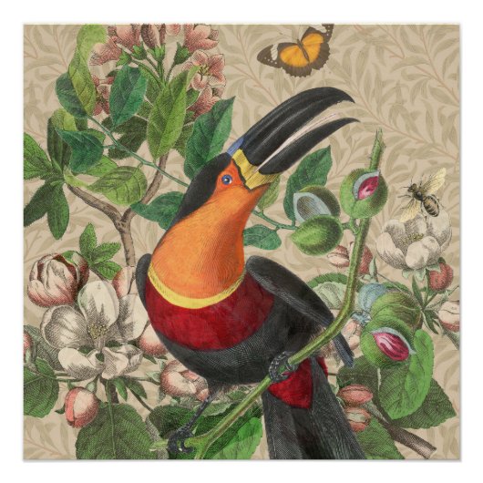Toucan Oerwoud Tropical Bird Mooi Antiek Perfect Poster (Voorkant)