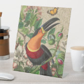 Toucan Oerwoud Tropical Bird Mooi Antiek Reclamebord Met Voetstuk (Insitu)