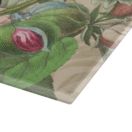 Toucan Oerwoud Tropical Bird Mooi Antiek Snijplank (Hoek)