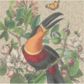 Toucan Oerwoud Tropical Bird Mooi Antiek Sticker (Voorkant)