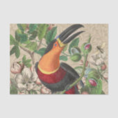 Toucan Oerwoud Tropical Bird Mooi Antiek Tissuepapier (Voorkant)
