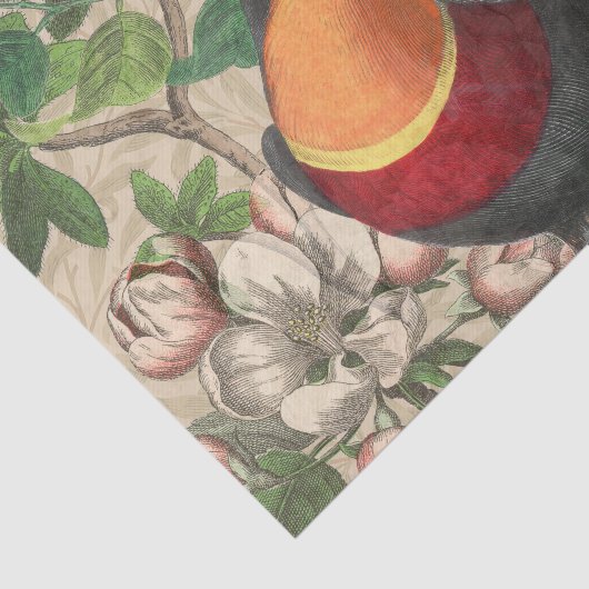 Toucan Oerwoud Tropical Bird Mooi Antiek Tissuepapier (Detail)