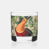 Toucan Oerwoud Tropical Bird Mooi Antiek Whisky Glas (Achterkant)