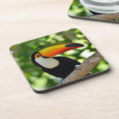 Toucan Onderzetter (Linkerzijde)