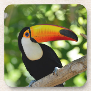 Toucan Onderzetter
