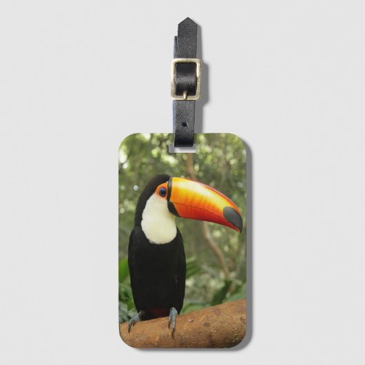 Toucan op boomtak bagagelabel (Voorkant (verticaal))