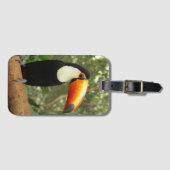 Toucan op boomtak bagagelabel (Voorkant (horizontaal))