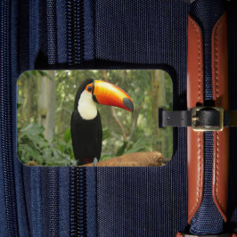 Toucan op boomtak bagagelabel