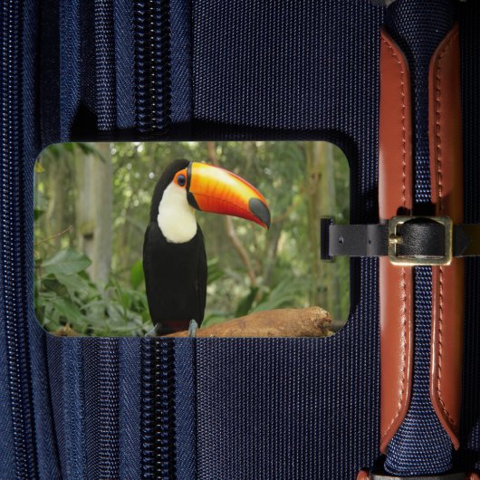 Toucan op boomtak bagagelabel (Voorkant Insitu 4)