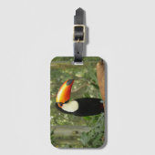 Toucan op boomtak bagagelabel (Voorkant (verticaal))