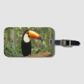 Toucan op boomtak bagagelabel (Voorkant (horizontaal))