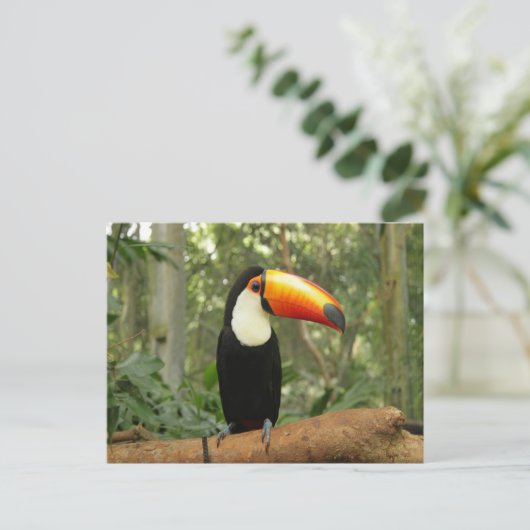 Toucan op boomtak briefkaart (Staand voorkant)