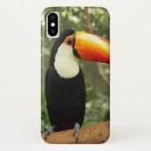 Toucan op boomtak Case-Mate iPhone case (Achterkant)